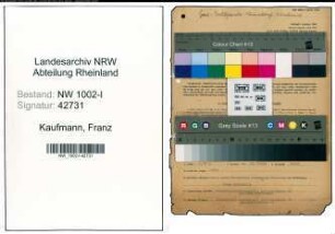Entnazifizierung Franz Kaufmann, geb. 29.05.1906 (Geschaeftsfuehrer)