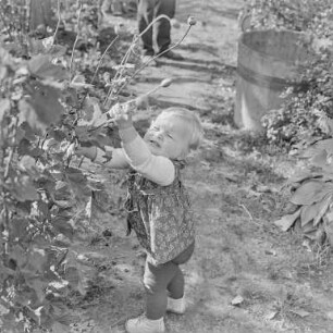F-F 65 : Familie Kurt Heines