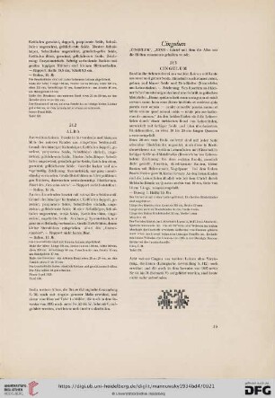 Cingulum (Nr. 213)
