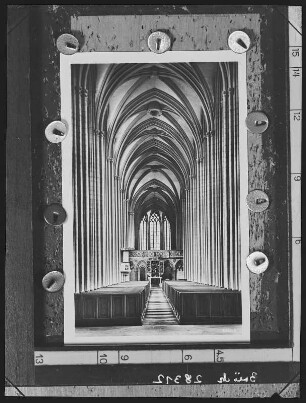 Meißen. Dom, Burgberg, Mittelschiff des Doms nach Osten