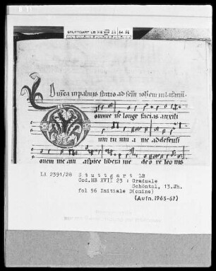 Graduale — Initiale D(omine), Folio 56recto