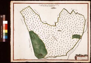 Waldung, der Wildecker Wald genannt (Inselkarte)