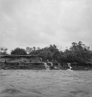 Mangroven : Blick zu beginnendem Mangrovenwald am Fluss