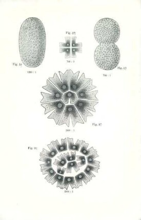 Fig. 1a-2c