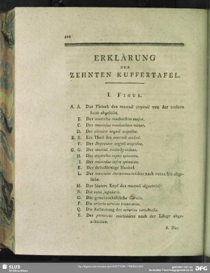 Erklärung Der Zehnten Kupfertafel