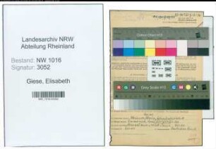Entnazifizierung Elisabeth Giese , geb. 17.06.1900 (Lehrerin)