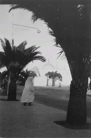 Reisefotos Marokko. Straßenbild mit Palmen. Im Hintergrund eine Moschee?
