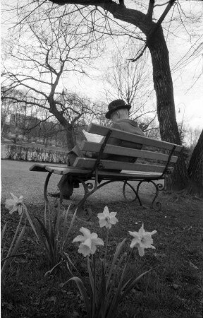 Frühlingstag.