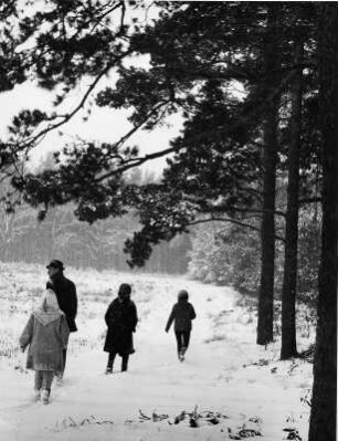 Winterwanderung im Wald