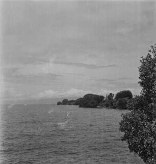 Seeufer : Blick entlang des Nordufers des Kiwusees