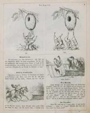 "Das Vogelnest" "Richtig prophezeiht"