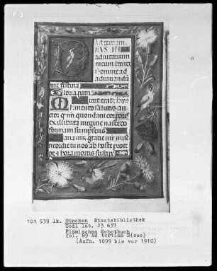 Flämisches Gebetbuch mit Kalender — Initiale D(eus) und Bordüre, Folio 89recto