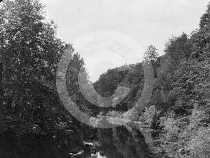 Flusslandschaft Lettin
