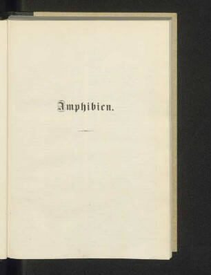 Amphibien.
