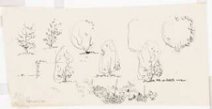 Bundesgartenschau 1955, Kassel: Baumstudien