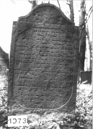 Grabstein 1073 (Index: 99899710) Material: Sandstein Zustand: leicht angewittert, unten verwittert Maße HxBxT: 133x75x8 cm Beschreibung: Stele mit eingezogenem Konvexbogenabschluss, im Bogenfeld Levitenkanne Symbolik: Levitenkanne: Grabstein 1073