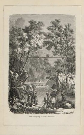 Een hangbrug in het binnenland