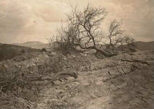 Erdrutsch am Hopfenberg bei Bodenbach
