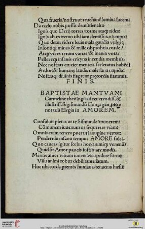 Elegia in Amorem