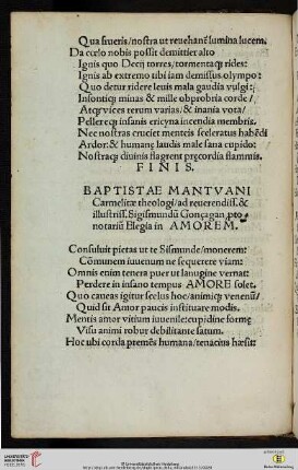 Elegia in Amorem