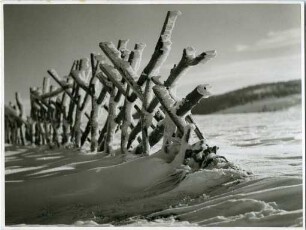 Winter am Schauinsland