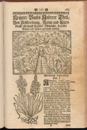 Kräuter-Buchs Anderer Theil, Von Beschreibung, natur und Eigenschafft allerhand Kräuter-Gewächs, so in der Artzney und Küchen gebraucht werden