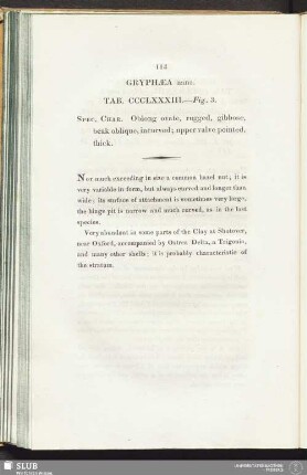 Gryphaea nana. Tab. CCCL XXXIII. - Fig. 3