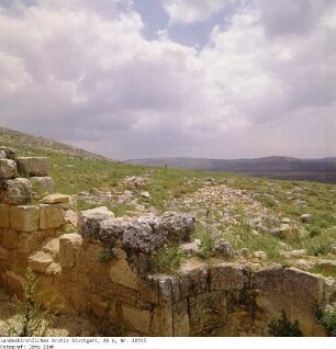 Israel: Schilo
