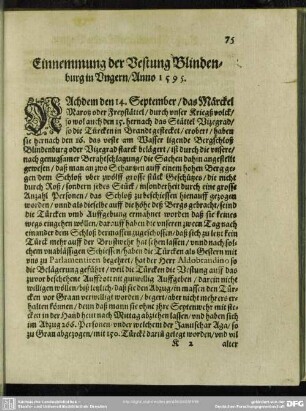 Einnemmung der Vestung Blindenburg in Ungern, Anno 1595