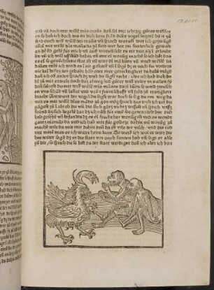 Affen und Drachen; (Kapitel XVI: Von den Vögeln).