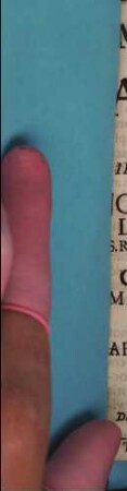 Mors Infelix Profani Amatoris : Drama, Cùm ... Dominus Josephus Maria L. B. de Packenreitt S.R.I. Eques in Senling, & Holzhausen ... Congregationis Majoris Academicae B.V. Mariae ab Angelo Salutatae Praefectus promulgaretur Ingolstadii Die 9. Maji tempore Conventûs ordinarii, Anno MDCCLI.