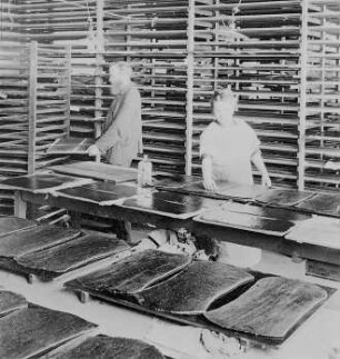 Harte Farben in großen Tafeln : Technikgeschichte | Technologie | Farben- und Tintenfabrikation | Stück-Farben | Günther Wagner