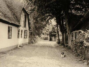 Friesische Dorfstraße in Nieblum auf Föhr