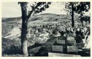 Blick auf Vlotho an der Weser von der Burgterrasse