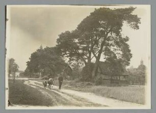 Weg zum Markt bei Kottbus Spreewald & Im Spreewald bei Burg