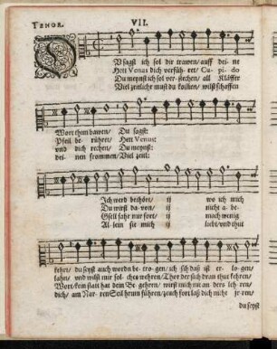 VII. Du sagst ich sol dir trawen ...