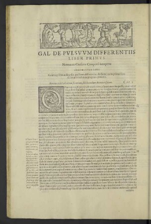 Gal. de pulsuum differentiis