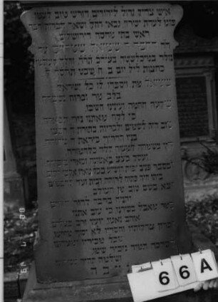Grabstein 66 (Index: 100094942) Material: Sandstein Zustand: gut Maße HxBxT: 187x76x41 cm Beschreibung: kon. Stele, profilierter Sockel, giebelart. Abschluß m. Verdach. u. Mittelakroter Symbolik: Blätter im Akroter Besonderheit: langes Lobgesdicht: Grabstein 66A