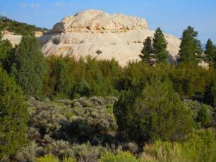 Waldgebiete und Sandsteinberg am Highway 12 : Beiderseits des Scenic Byway Highway US 12 erstrecken sich ausgedehnten Waldgebiete, aufgenommen am 17. August 2012