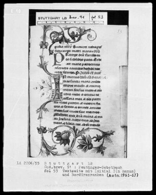 Gebetbuch des Konrad Peutinger — Initiale I(n manus) mit anschließender Blumenranke, Folio 53recto