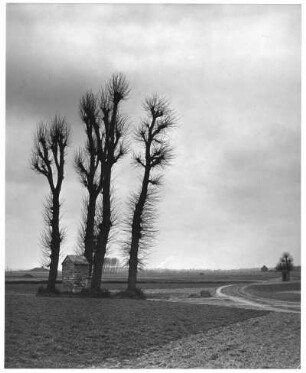 Landschaft, Flandern, Belgien