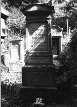 Grabstein 30 (Index: 100079867) Material: Sandstein Zustand: Giebel beschädigt, sonst gut Maße HxBxT: 211x54x27 cm Beschreibung: Stele, getreppter Sockel, Giebel mit Eckakroteren, rechteckiges Schriftfeld eingetieft Symbolik: Blätter, Ranken: Grabstein 30