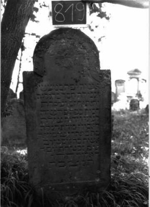 Grabstein 819 (Index: 100102881) Material: Sandstein Zustand: gut erhalten, nur Bogenfeld verwittert Maße HxBxT: 135x59x11 cm Beschreibung: Stele, eingezogener Rundbogenabschluss, Schriftfeld leicht eingetieft mit Konvexbogenabschluss, im Bogenfeld Blüte Symbolik: Blüte: Grabstein 819