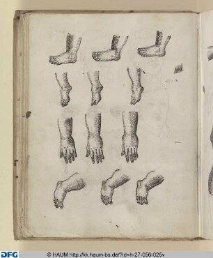 Zeichenkurs: Hände, Füße