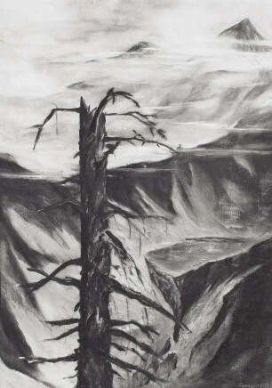 Tatra