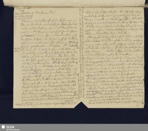 Bl. 383. SvC, Veit Hans an SvC, Julius