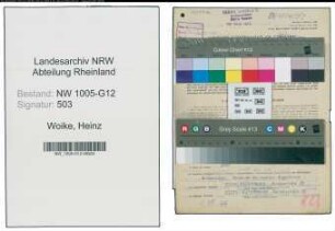 Entnazifizierung Heinz Woike , geb. 19.04.1914 (Ingenieur)