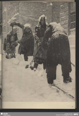Harter Winter