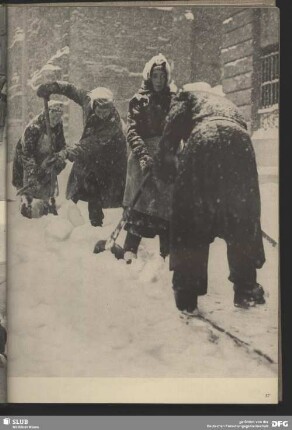 Harter Winter