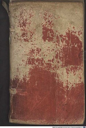 Breve Directorium Ad Confessarii Ac Confitentis Munus Recte obeundum
